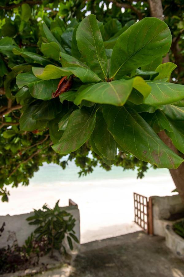 Uroa Beach Lodge Exterior foto